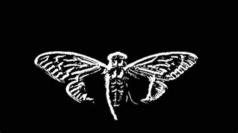 Cicada the game is a retro point and click graphic adventure. Dicas do Jess: Curiosidades Cicada 3301