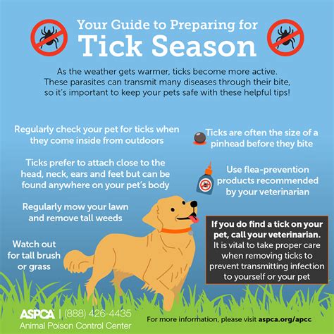Are Your Pets Prepared For Flea And Tick Season Animal Advocates