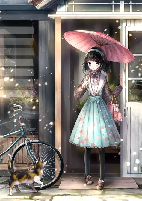 Anime Original Girl Beautiful Cute Dress Bike Cat Kitty