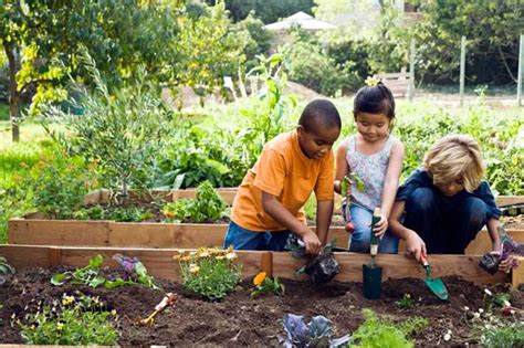 Involve Your Children In Gardening Trustbasket