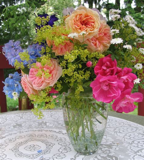 Maybe you would like to learn more about one of these? My Petal Press Garden Blog: July 2011