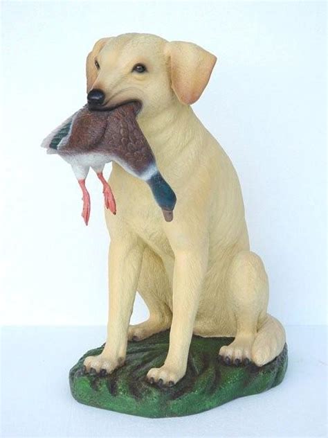 Yellow Lab Hunting Dog With Duck In Mouth Yellow Lab