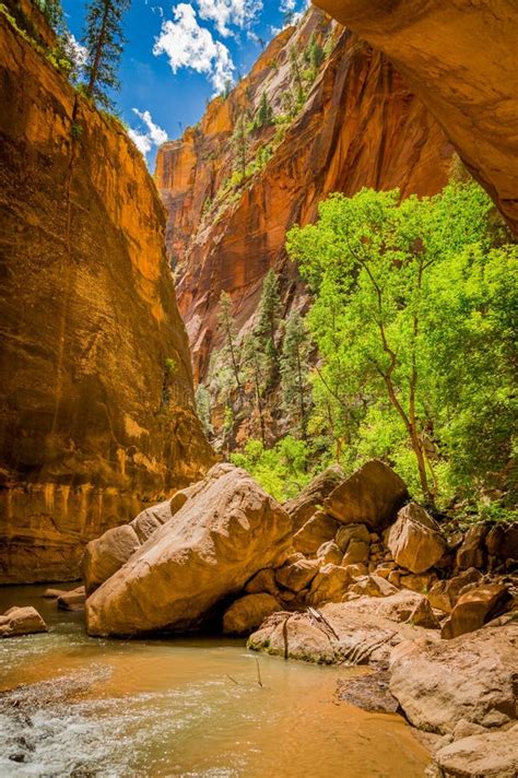 Virgin River In Zion National Park Utah Stock Photo Image Of Outdoors