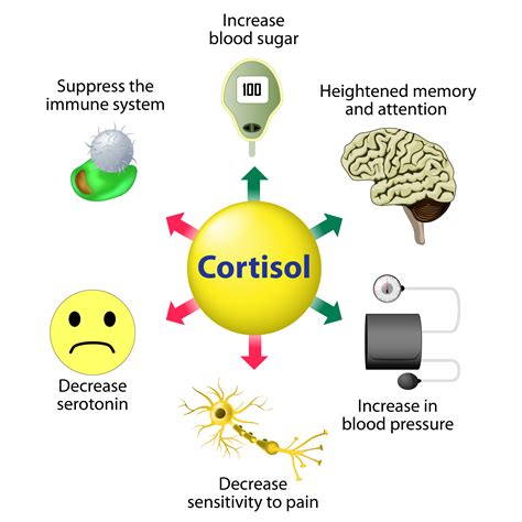 Cortisol Enemy Or Friend