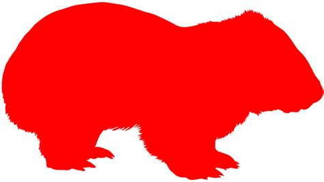 Wombat Silhouette Free Vector Silhouettes