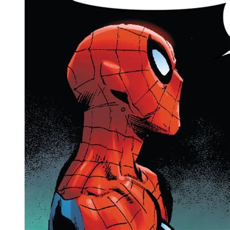 Spiderman Matching Icons Gambar Profil Ilustrasi Karakter Foto Kekasih