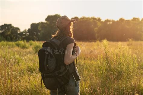 260745 High Grass Summer Stock Photos Free And Royalty Free Stock