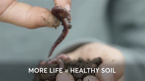 Unearth Soil Science Soil Life Youtube