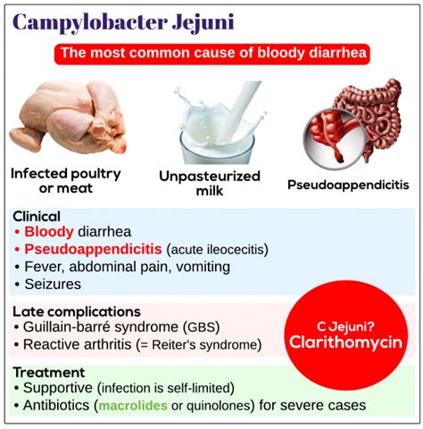 Campylobacter Jejuni Medicine Keys For Mrcps
