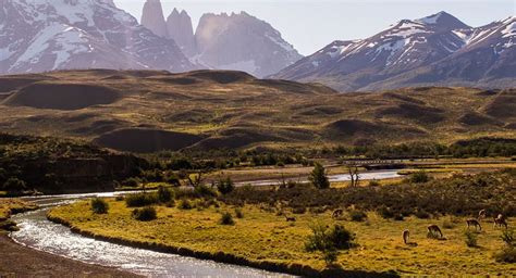 Geodyssey Argentina Argentina And Chile Southern Patagonia