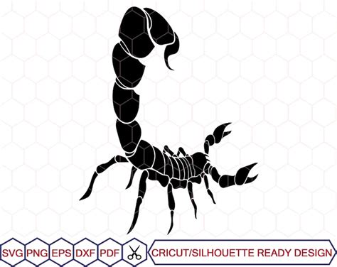 Scorpion SVG Scorpio Scorpion Clipart Scorpion File For Etsy