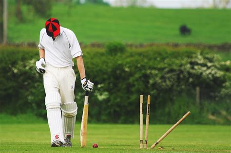 Cricket Stumps Royalty Free Stock Photo