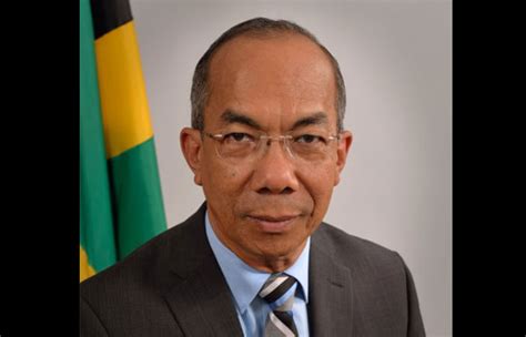 Members of the shadow cabinet, named by phillips yesterday at a press conference at the pnp's headquarters in kingston are phillips said he expects the shadow ministers to network with party commissions; Sectoral Presentation by Hon. Dr. Horace Chang - Jamaica ...