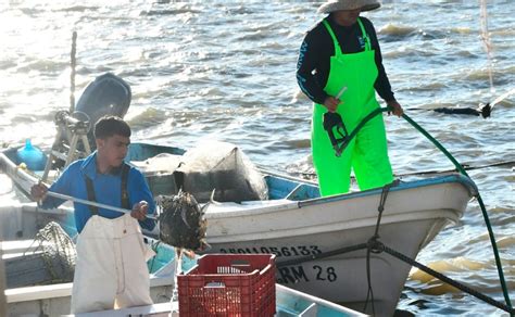 Cambio Climático Y Gobernanza Retos De La Pesca En México