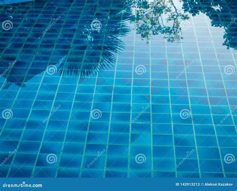 Reflection Palm Trees In The Blue Pool Stock Image Image Of