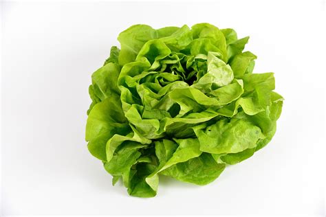 Salade- verte