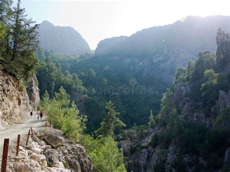 Antalya Goynuk Canyon Beautiful Mountain With Trees In National