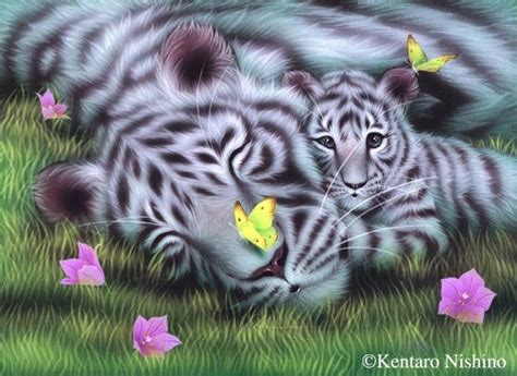 Gallery Bigcats Art Of Kentaro Nishino Image Tigre Animaux