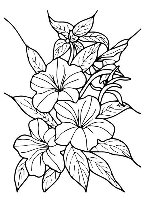 Here a big hibiscus coloring page signed with its name so you can teach your kids. Top 10 Hibiscus Coloring Pages For Toddlers (avec images ...