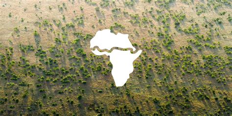 Africas Great Green Wall Making A Dream Come True Unccd