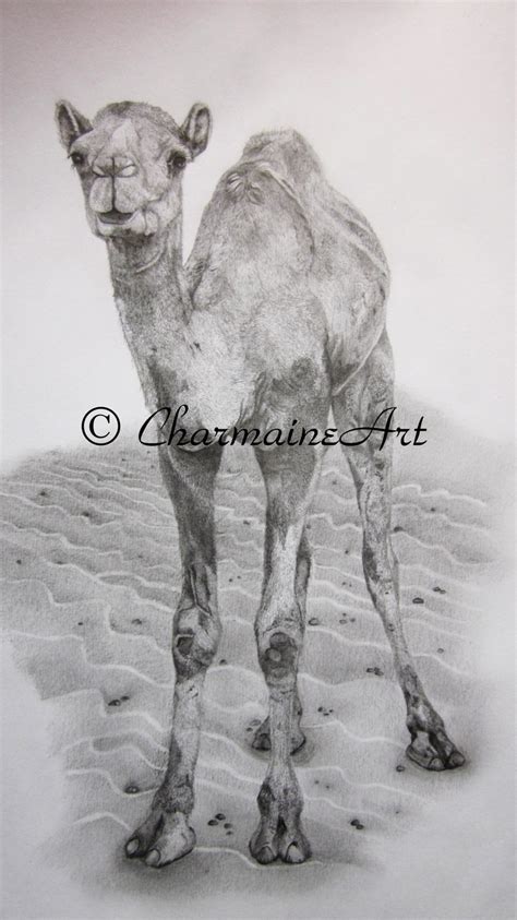 Discovery of a spring, drawing by diogene maillard from journey across the western interior of australia, by colonel peter bedouin camel rider, by leon belly, from sketch and pen drawings by the most renowned artists: Pin on Charmaine Art