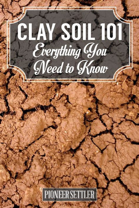 How To Amend Clay Soil Amending Clay Soil Garden Soil Vegetable