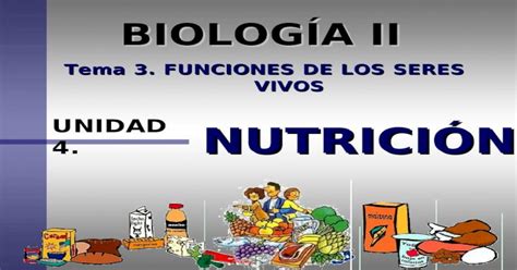 NutriciÓn NutriciÓn Tema 3 Funciones De Los Seres Vivos Unidad 4