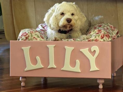 How To Make A Pet Bed Out Of An Old Drawer Diy Dog Bed Diy Pet Bed