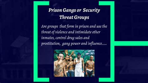 Chapter 8 Security Threat Groups And Prison Gangs By Sandra Hawkins On