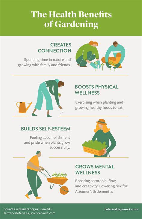 How Gardening Benefits Physical And Mental Health Botanical Paperworks