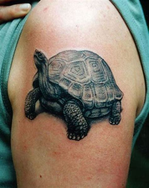 Tortoise Tattoos Tortoise Tattoo Turtle Tattoo Tattoos