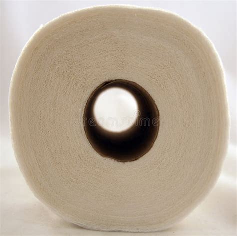 Toilet Paper Stock Image Image Of Facilities Roll Paper 1831653