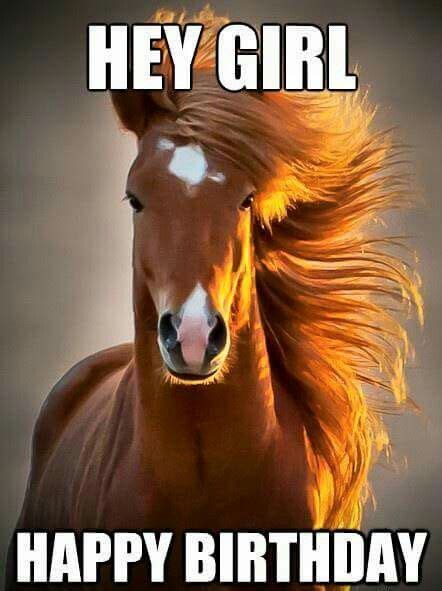 Happy Birthday Horse Meme & Funny Songs - 2HappyBirthday