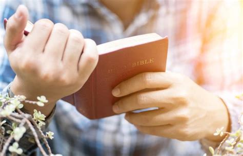 Every item on this page was chosen by a woman's day editor. Printable Bible Trivia Questions and Answers for All Ages | LoveToKnow