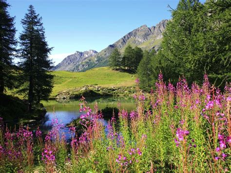 From vulgar latin *prīmavēra, from latin prīmus (first) + vēr (spring). Clau Descubre: Equinoccio de Primavera