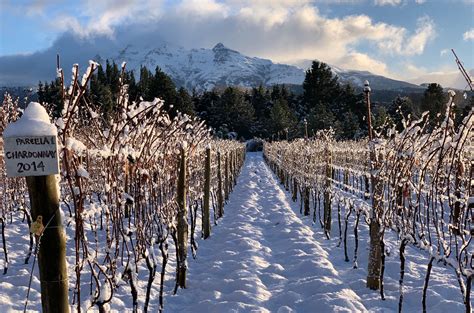 The chilean portion embraces the southern part of the region of los lagos, and the regions of aysen and magallanes. Argentina announces Trevelin as new Patagonia GI - Decanter