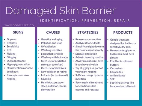 Damaged Skin Barrier How To Repair It And Keep It Healthy