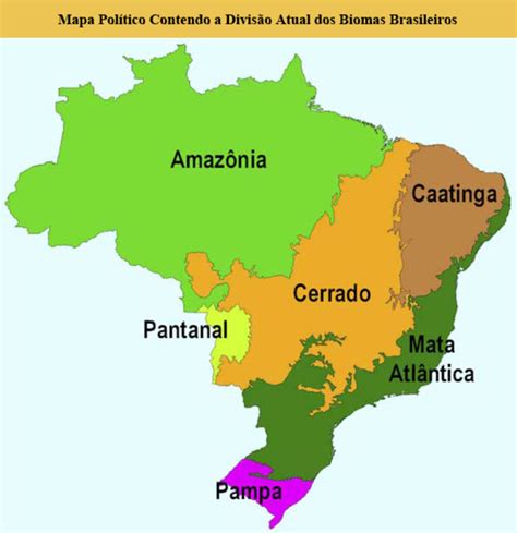No Mapa Est O Representados Os Biomas Brasileiros Educa