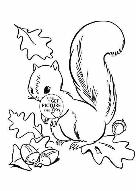 Leaves to colour and print. Fall Leaves and Cute Squirrel coloring pages for kids ...