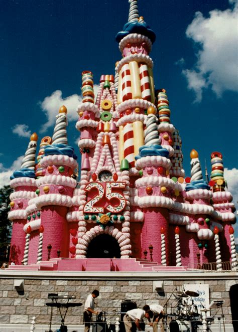 Photo Of The Day Cinderellas Castle Enjoying Her 25th