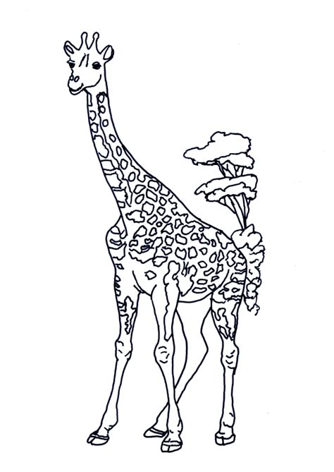 , page 28 sur 29 sur HugoLescargot.com  Coloriage, Coloriage girafe