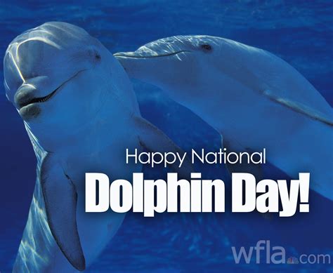 Wfla News On Twitter Happy National Dolphin Day 🐬 Today Were