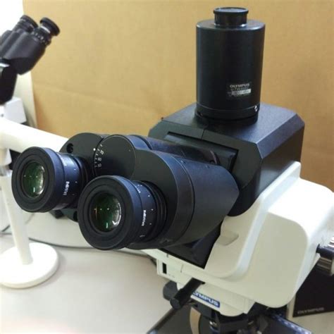Olympus Microscope Bx53 Multihead With Apos Nc Sc Va Md