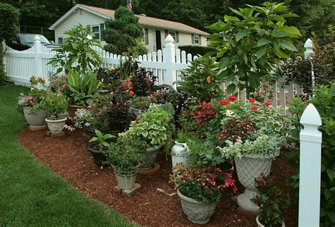 Container Gardening Helpful Hints Remember The Containers Will Take