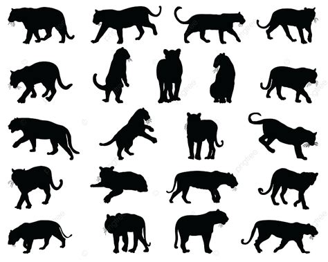 Black Silhouettes Of Tigers On A White Background Tigers Fashion