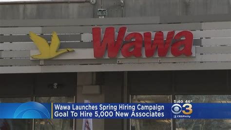 Wawa Looks To Hire Thousands Over Next 3 Months Youtube