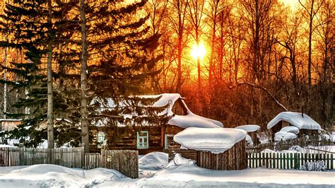 Wallpaper Winter Trees House Sunrise Snow 2560x1440