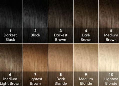 Pin By Melissa Mills On Hair Color Level Chart Hair Levels Hair