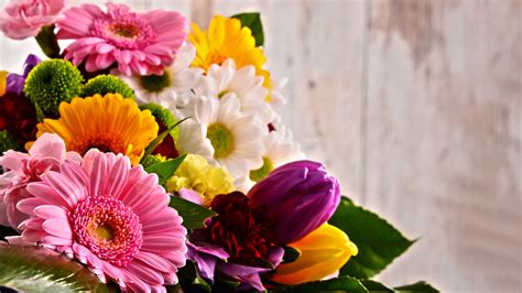 Steve's flower shop chicago il. Flower Shop in Chicago, IL | (773) 606-3332 Floreria Gardenia