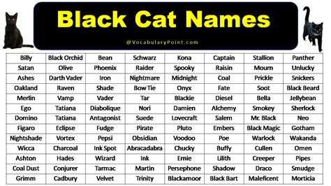 200 Best Black Cat Names Unique Badass Vocabulary Point